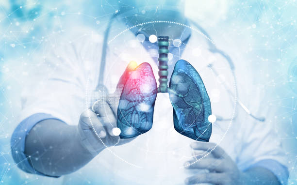 Aulas particulares de biotecnologia, com foco em compreensão de técnicas como clonagem, PCR (reação em cadeia da polimerase) e bioinformática, além de explorar suas aplicações práticas em áreas como medicina, agricultura e indústria, ensinado pelo Professor de biotecnologia para aulas particulares.