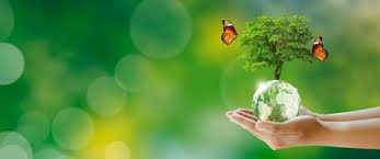 Aulas particulares de Ecologia, com foco em meio ambiente, ensinado pelo Professor particular de Ecologia para aulas particulares.